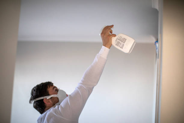 Best Mold Damage Repair  in Lazy Mountain, AK