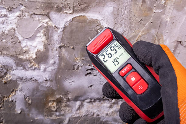 Best Best Mold Removal Companies  in Lazy Mountain, AK