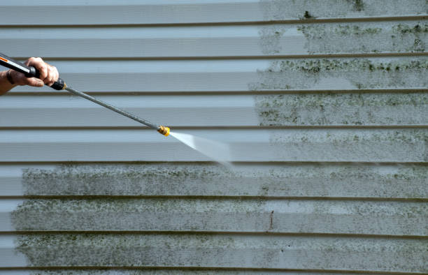 Best Local Mold Removal Service  in Lazy Mountain, AK