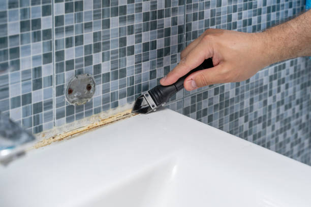 Best Office Mold Removal Services  in Lazy Mountain, AK